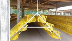 JAULAS-PARA-GALLINAS-PONEDORAS-QUITO-ECUADOR