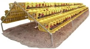 gallineros-para-gallinas-ponedoras