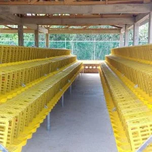 JAULAS-PARA-GALLINAS-PONEDORAS-SANTIAGO-CHILE