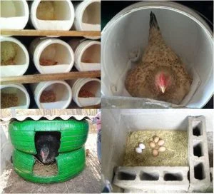 NIDOS CASEROS PARA GALLINAS